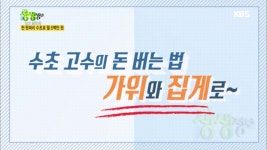 수초 고수의 돈 버는 법! 가위와 집게로~ | ZUM TV