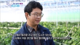 초보 농부의 매운맛 - 경북 김천 | ZUM TV