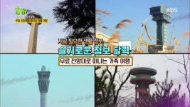 무료 전망대로 떠나는 가족 여행 | ZUM TV