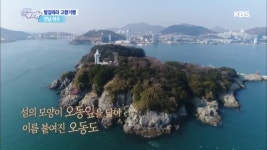 [발길따라 고향기행] 동백꽃 필 무렵 - 전남 여수 | ZUM TV