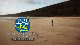 [3화 예고] 야생의 훈남, 신들의 땅 피오르드랜드를 누비다 [고립낙원] | ZUM TV