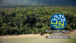 [5회 예고] 이리오모테 섬의 괴짜신선 - 일본 토시히사 씨 [고립낙원] | ZUM TV