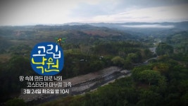 [7회 예고] 땅 속에 만든 미로 낙원 코스타리카 마누엘 가족 [고립낙원] : TV줌 [7회 예고] 땅 속에 만든 미로 낙원 코스타리카 마누엘 가족... 