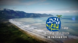 [8회 예고] 홀로왕국의 왕과 왕비들 [고립낙원] | ZUM TV