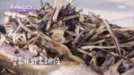 새 봄의 섬오가피로 힘내세요 - 제주 애월 | ZUM TV