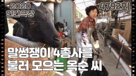 [옥순 씨 일복 터졌네](14/15) | ZUM TV