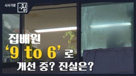 [시사기획창/창쪼개보기]집배원 9 to 6로 개선중 .. 진실은? | ZUM TV
