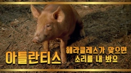 [아틀란티스 시즌1] EP6-3 마녀의 저주를 받아 돼지로 변한 마크 애디? : TV줌 [아틀란티스 시즌1] EP6-3 마녀의 저주를 받아 돼지로 변한 마크... 