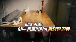 피해속출! 어느 동물병원의 황당한 진료 | ZUM TV