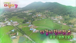 직캠 대세남여 – 다같이 한바퀴♬ 홍성 구항면 오봉리 | ZUM TV
