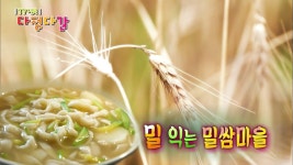 밀 익는 밀쌈마을 X 골먹길 여행 | ZUM TV