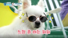 [티저] 펫 비타민과 함께 ❤️세상에 단 하나뿐인❤️ 나와 내... ※10월 15일 저녁 8시 30분 첫 방송※ [펫 비타민] : TV줌 [티저] 펫 비타민과... 