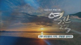 KBS대전 특별기획 역간척 2부 바닷물의 기적, 갯벌을 살리다ㅣKBS대전 170920 방송 | ZUM TV