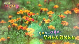 직캠 대세남여 – 함께라서 더 좋아~ 우리 가족 행복 농장ㅣKBS대전 200918 방송 | ZUM TV