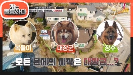 그들만의 세상! 갑작스런 대장군의 공격! 문제의 시작은 대장군..? | KBS 201207 방송 | ZUM TV