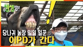 당나귀 농장 일일 일꾼 [2TV 생생정보] 20200902 | KBS 200902 방송 | ZUM TV