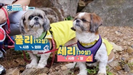 지켜줄게 항상! 이연수＆쫄리, 세리 | KBS 210128 방송 | ZUM TV