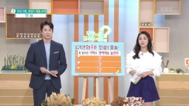 우리 가족, 환절기 제철 보약 인삼! 알고 먹으면 효능 두 배 | KBS 210916 방송 | ZUM TV