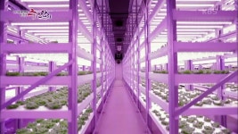 어그테크로 스마트팜 혁신을 이끄는 ‘팜에이트’ | KBS 211107 방송 | ZUM TV