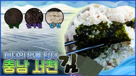 바다의 맛을 담다! 충남 서천 김 [6시N내고향] / KBS대전 방송 | ZUM TV