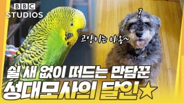 [반려동물의 숨겨진 야생본능_1_2] - 성대 모사의 달인 앵무새! 블라블라~ | ZUM TV
