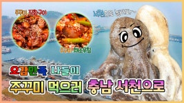 오감만족 나들이 주꾸미 먹으러 충남 서천으로~♬ [6시N내고향] / KBS대전 방송 | ZUM TV