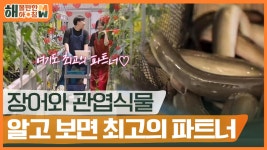 이게 어업이야? 농업이야? 들어는 봤나 아쿠아포닉스! | KBS 220606 방송 | ZUM TV