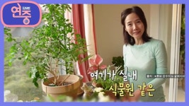 [SNS 뉴스] 식물 사랑, 식집사 스타들의 ‘플랜테리어’ | KBS 220623 방송 | ZUM TV