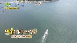 대물을 찾는 사람들 : 밤바다의 은빛 대물, 은갈치 | KBS 220811 방송 | ZUM TV