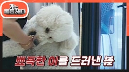 피가 안 났으니 입질이 아니라 뽀뽀다?! 두 모녀의 좁혀지지 않는 의견 차이! | KBS 220919 방송 | ZUM TV