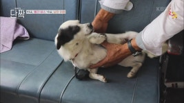 빨간 버스로 누비는 전국! | KBS 221001 방송 | ZUM TV