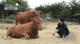 순심이와 효리 | KBS 221021 방송 | ZUM TV