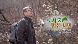 [예고] 도시숲, 멈춰 서면 | KBS 방송 | ZUM TV