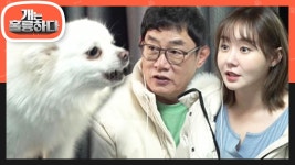 오늘의 고민犬 포메라이언(?) 루나를 만나기 위해 출동한 경규 X 예림 부녀! | KBS 230123 방송 | ZUM TV