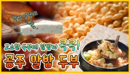알밤이 톡톡! 알밤두부🌰 - 충남 공주 [6시N내고향] / KBS대전 방송 | ZUM TV