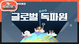 글로벌 독파원 오늘의 이야기! 독일에서의 반려견 문화! | KBS 230227 방송 | ZUM TV