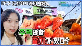 “논산화지중앙시장” 🌸꽃이 활짝 피었습니다🌸 [걸어서 대세남 속으로 2화] / KBS 방송 | ZUM TV “논산화지중앙시장” 🌸꽃이 활짝... 