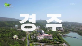 택시맛객들의 수다 : 지붕 없는 박물관! 경상북도 경주시 | KBS 230424 방송 | ZUM TV