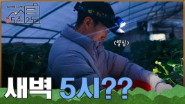 부지런한 귀농인 되기 쉽지 않네... [5촌 2도 IN 논산] / KBS대전 20230502(화) 방송 | ZUM TV