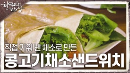 건물 안 스마트팜 농장, 직접 키워 낸 채소로 만든 ‘콩고기채소샌드위치’ | KBS 230608 방송 | ZUM TV