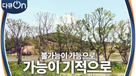 “불가능이 가능으로, 가능이 기적으로” 군사작전을 방불케 한 ‘1섬 1꽃 정원 사업’ | KBS 230610 방송 | ZUM TV