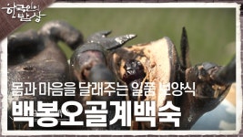 몸과 마음을 달래주는 일품 보양식, 쫄깃쫄깃한 ‘백봉오골계백숙’ | KBS 230629 방송 | ZUM TV