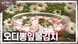 고된 농사 후 뜨거워진 몸을 달래기 위해 먹었던 음식 ‘오디뽕잎물김치’ | KBS 230629 방송 | ZUM TV