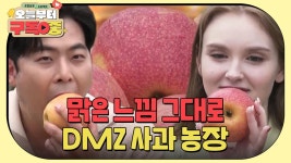 [김해준X마리아] 청정 그 자체, 파주 DMZ 사과! 다 해준단 마리아의 특급 홍보 프로젝트 | KBS 230701 방송 | ZUM TV