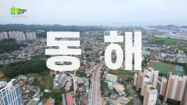 택시맛객들의 수다 : 택시맛객 PICK, 동해시 맛집 | KBS 230726 방송 | ZUM TV