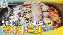 항아리 한 그릇에 바다가 들었다! 물회에 담긴 해산물의 정수 | KBS 230731 방송 | ZUM TV