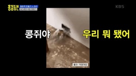 콩쥐야...우리 큰일났어...인터넷 사진을 보고 문제를 맞춰야 한다? | KBS 231005 방송 | ZUM TV