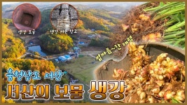 우리 마을에 보물🎁이 생겼어요! - 충남 서산 [6시N내고향] / KBS 방송 | ZUM TV