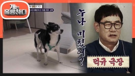 짖어야 예뻐해 줄 거라 믿은 덕구😢 거절이 아닌 도와주는 것 | KBS 240108 방송 | ZUM TV