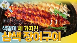 ‘오감만족 여행지’ 파주의 택시맛객들이 추천하는 ＜삼색 장어구이＞ | KBS 240326 방송 | ZUM TV